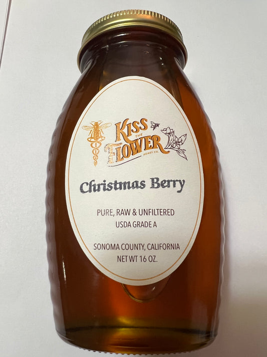 Christmas Berry