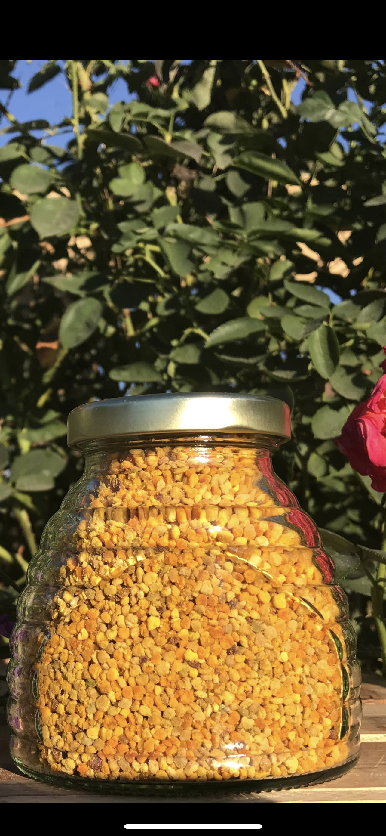 Bee Pollen
