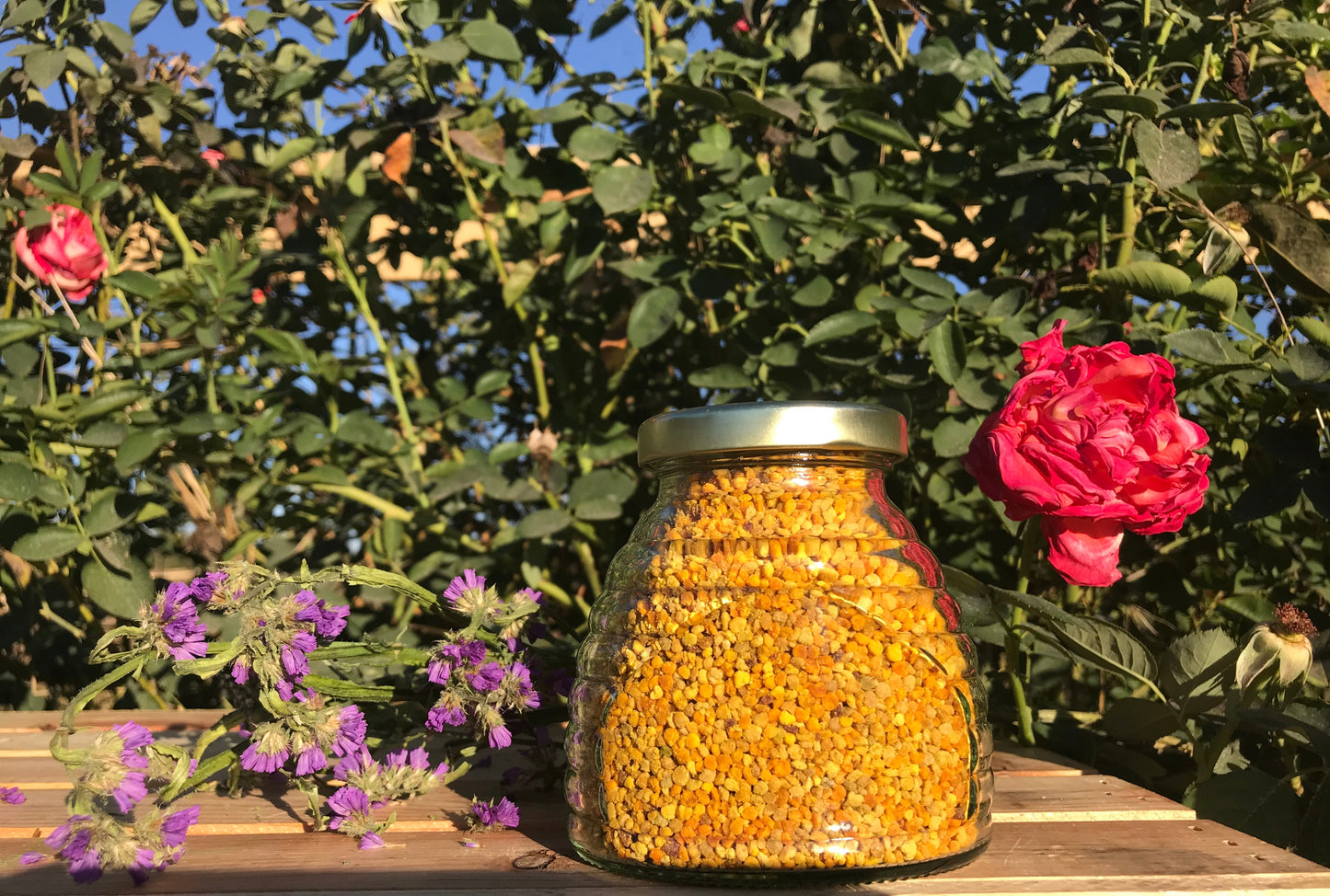 Bee Pollen
