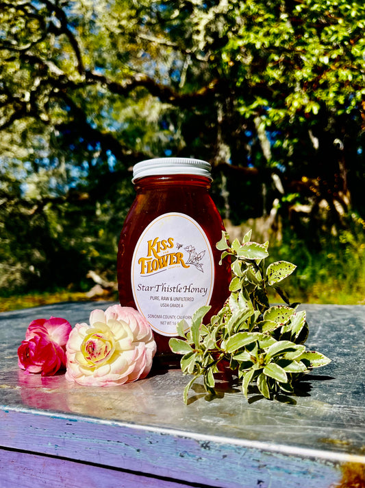 Star Thistle Honey