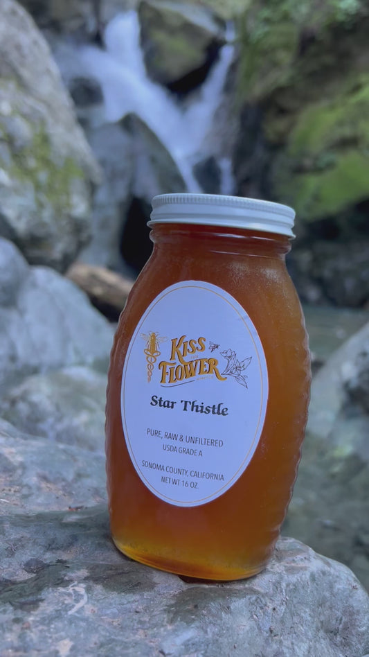 Star Thistle Honey