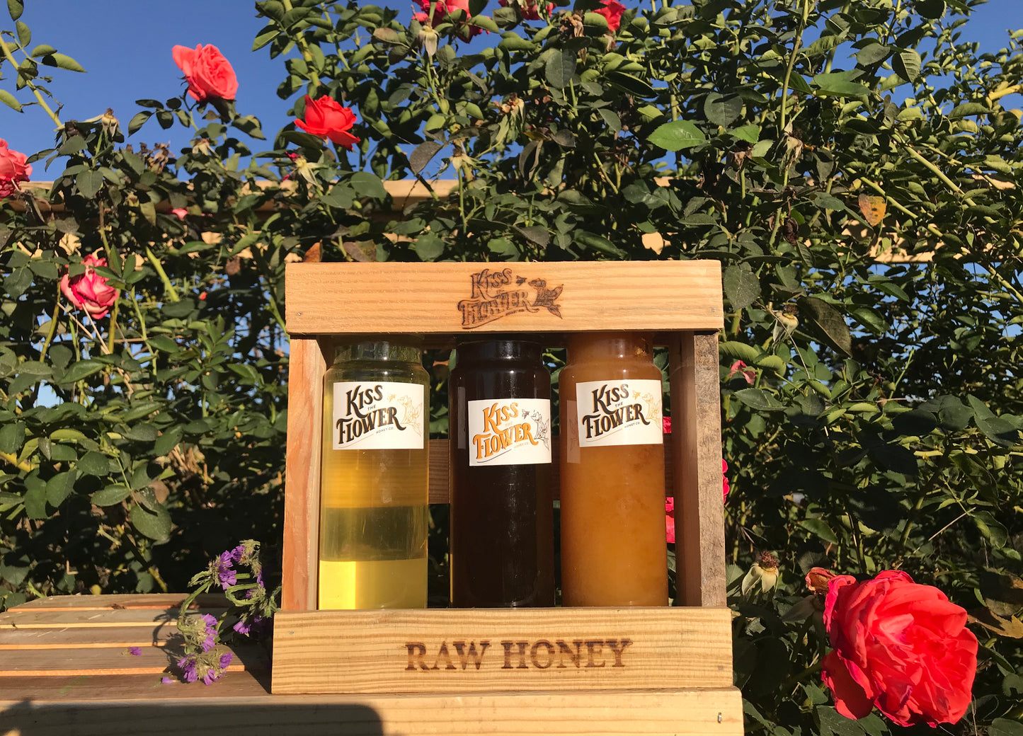 Seasonal Honey Box Set