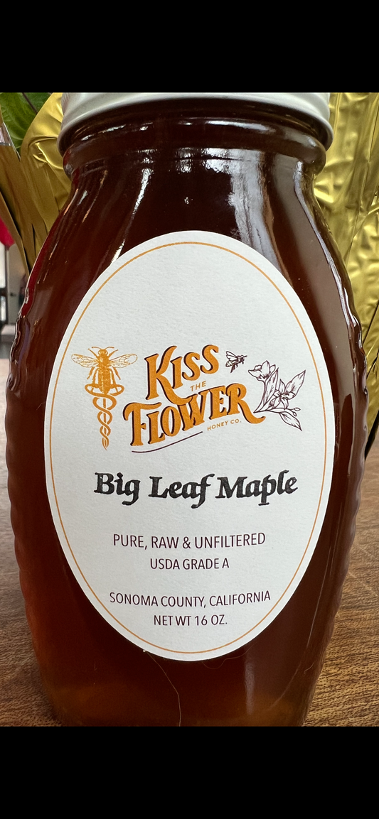 Big Leaf Maple Honey